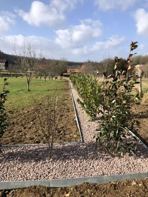 1645172174427 | Objectifs Paysage Quelles solutions de remplacement pour une haie malade? Charmes 1