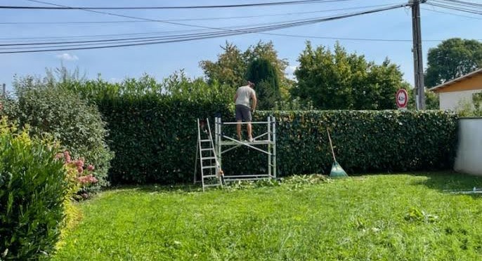 TAILLE DE HAIE | Objectifs Paysage Pourquoi une interdiction de tailler ses haies dans les Vosges du 1er avril au 31 juillet? Contrexéville