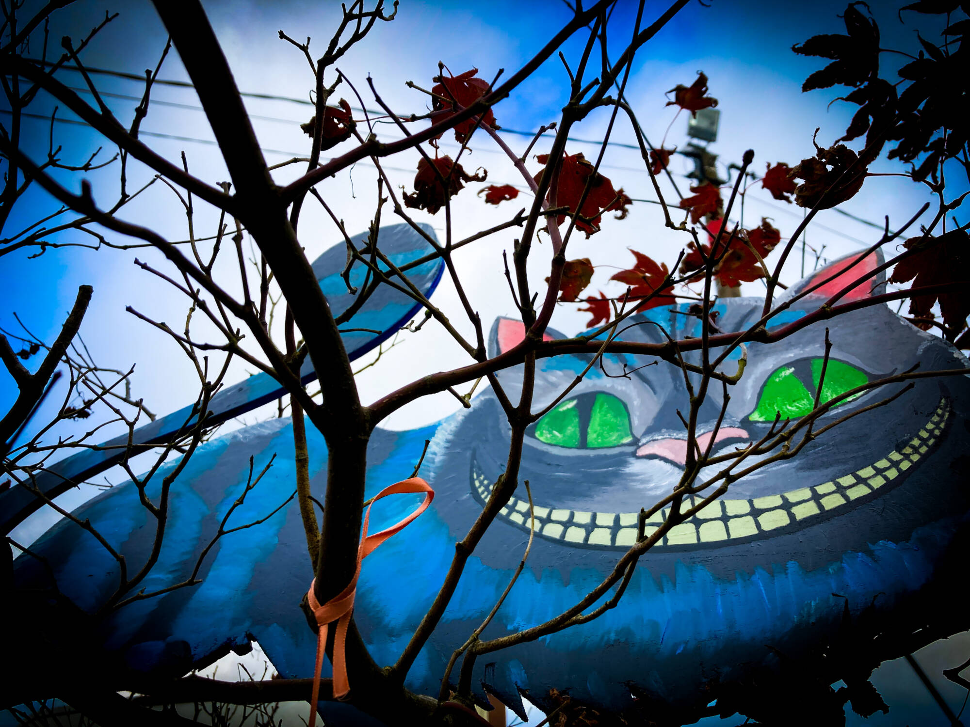 Retour sur la Foire de Poussay 2024 Mirecourt 10