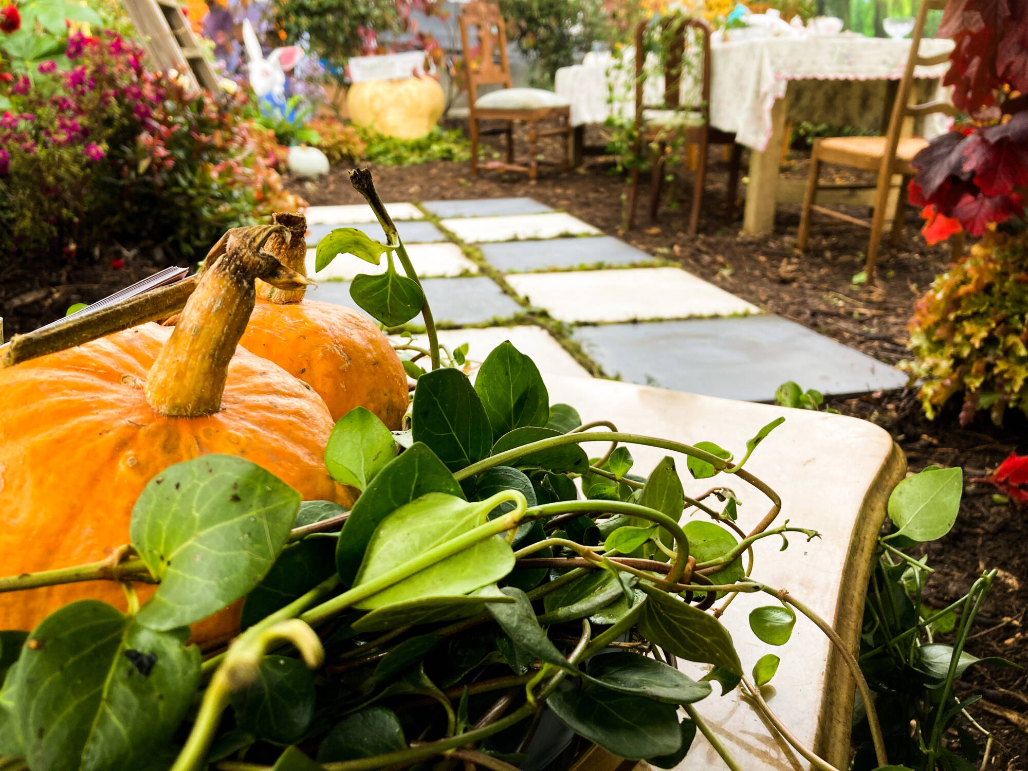 Retour sur la Foire de Poussay 2024 Contrexéville 27
