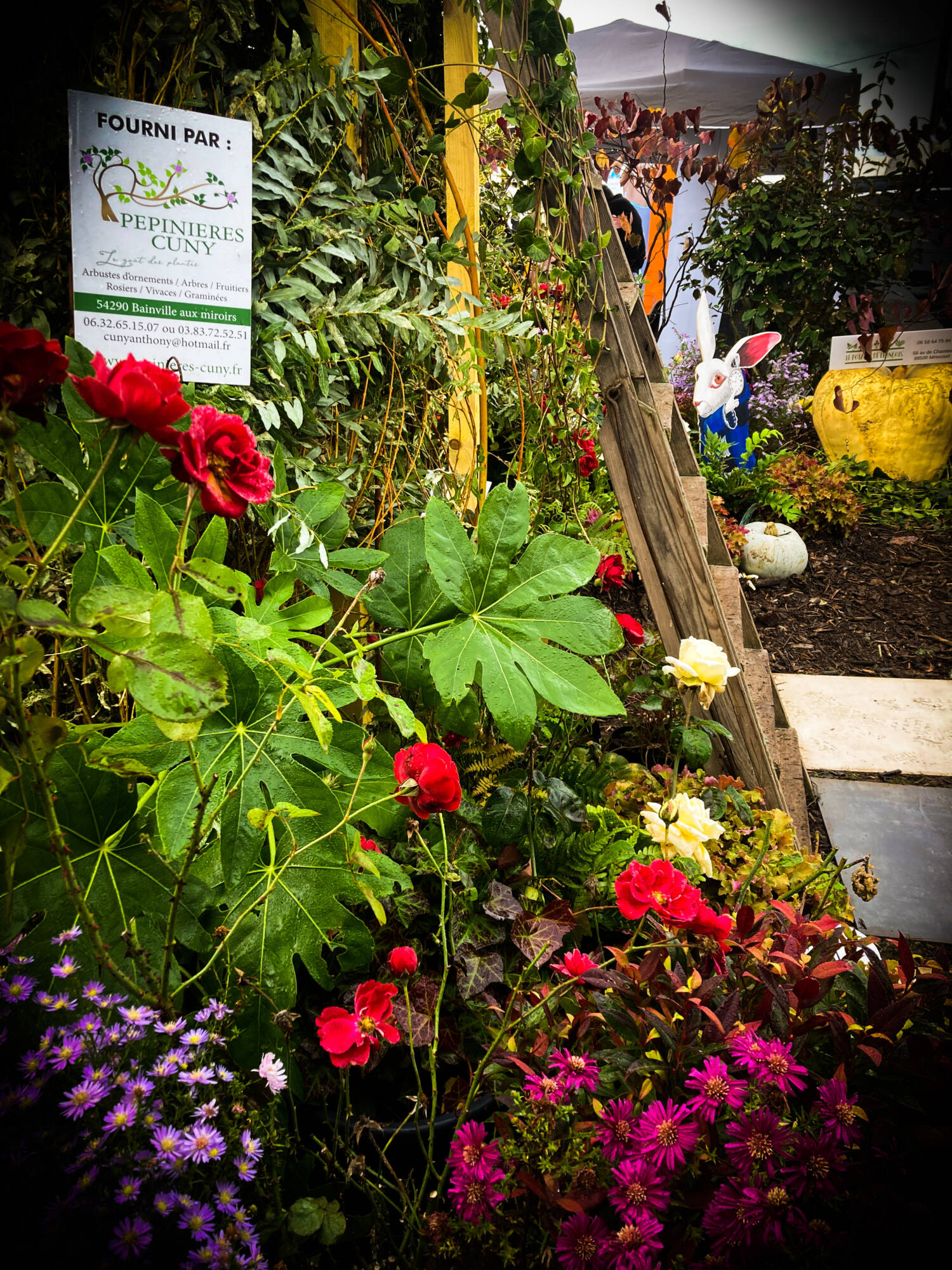 Retour sur la Foire de Poussay 2024 Thaon-les-Vosges 16