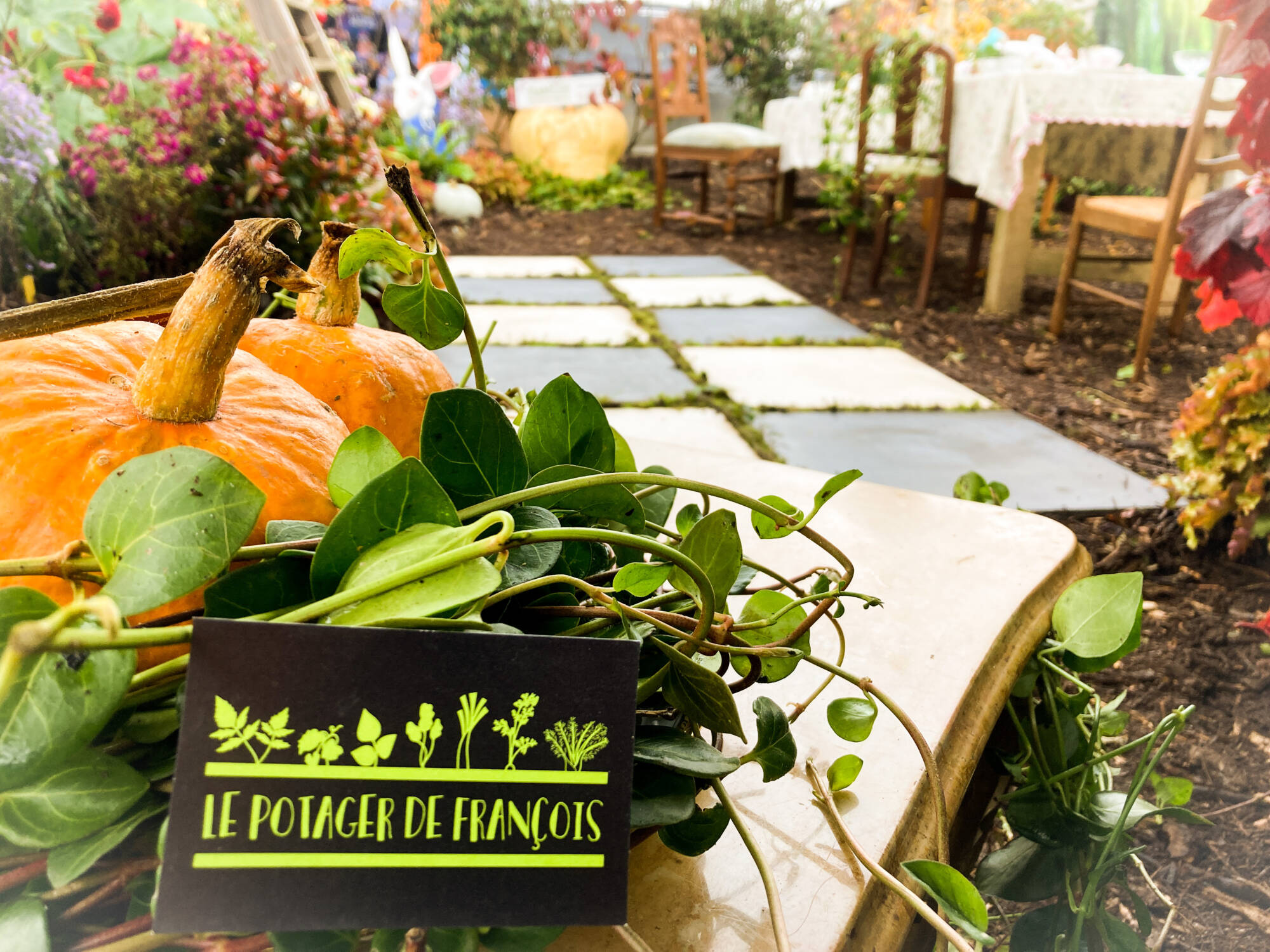 Retour sur la Foire de Poussay 2024 Épinal 17